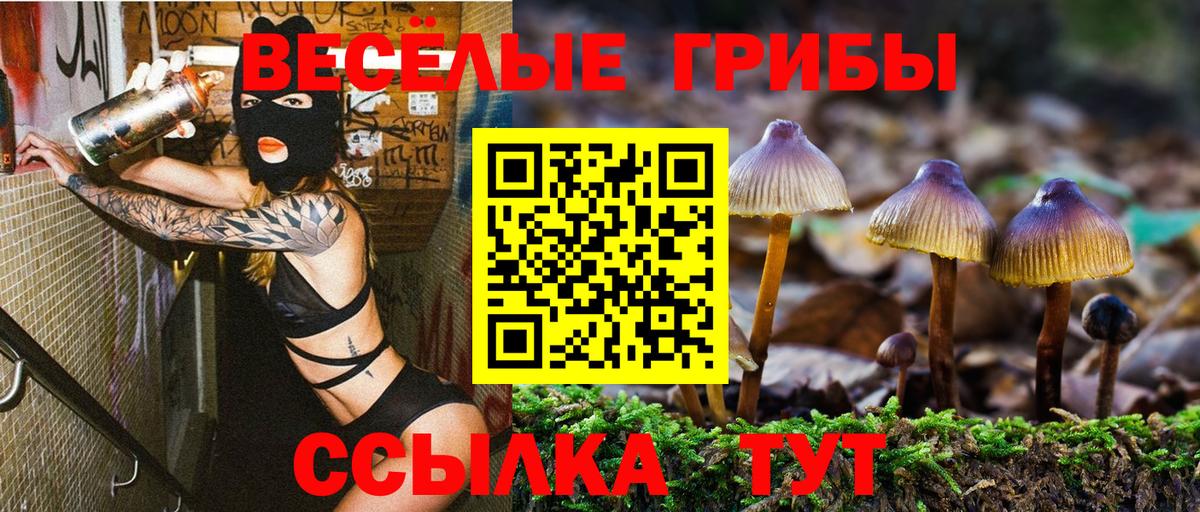 Псилоцибиновые грибы ЛСД Владивосток