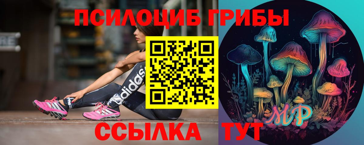 Галлюциногенные грибы Psilocybe  Вход с VPN  Владивосток 